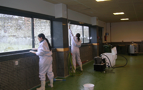 asesoria tecnica galeria detyse (5)